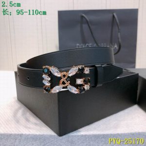 D&G belt