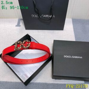 D&G belt