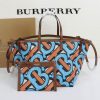 Burberry Bag